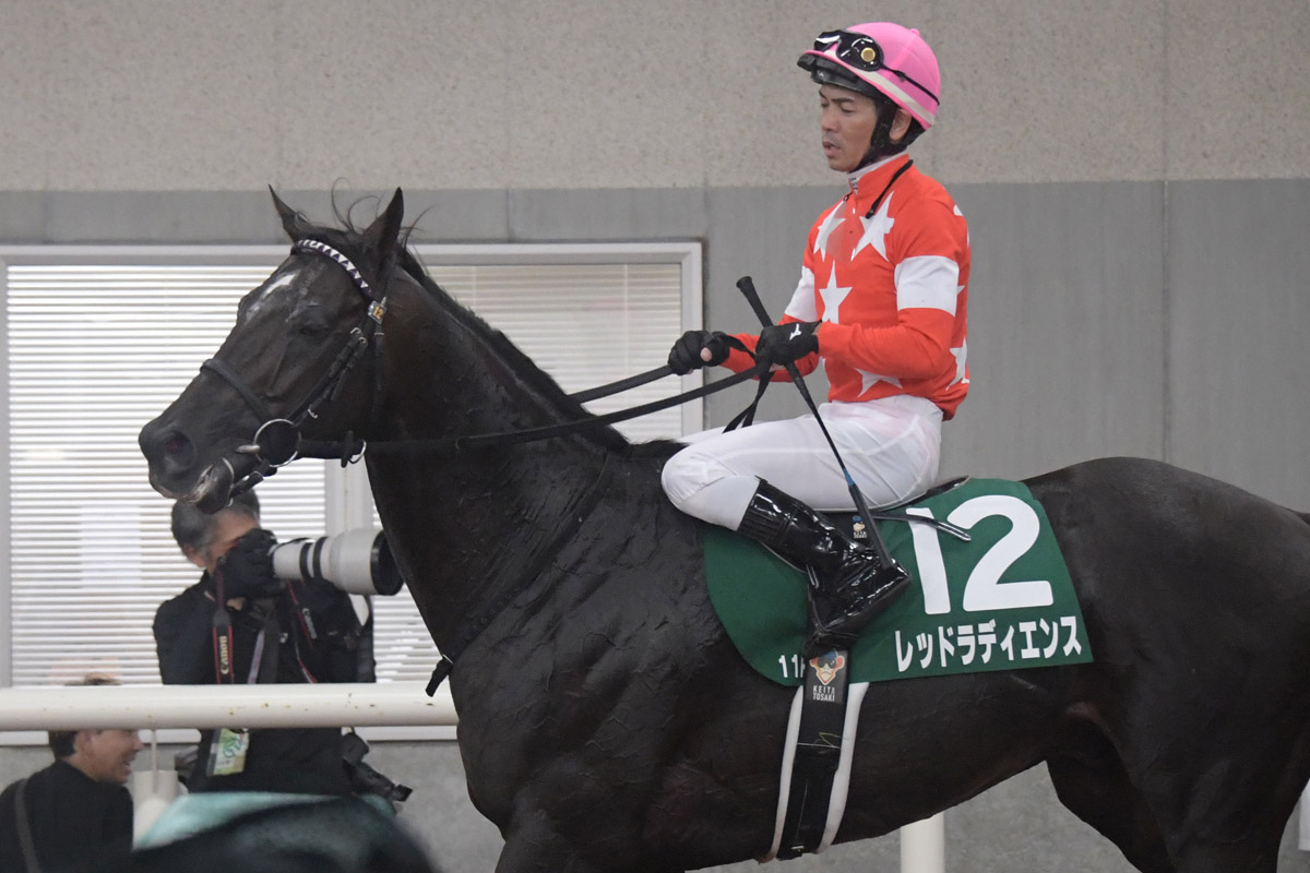 新潟記念】ド根性で勝ち取った！重賞初V シンリョクカ強さの源は